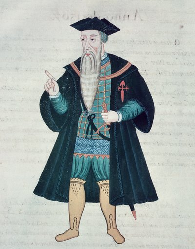 Afonso de Albuquerque by Portuguese School